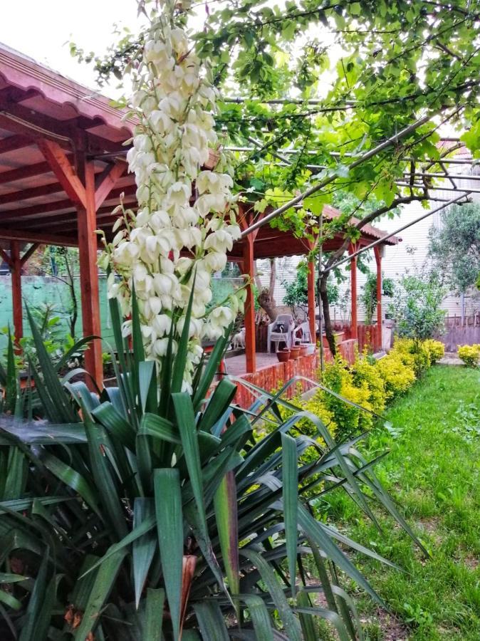 Kilic Motel Istanbul Exterior foto